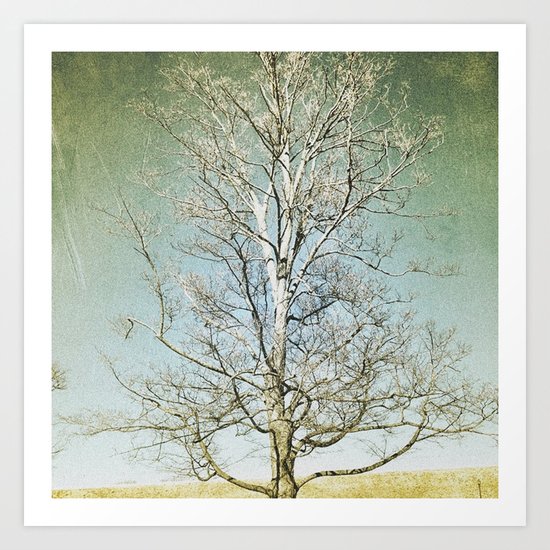 Tree 5 Art Print