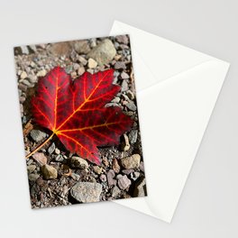 All the Colors of Fall in One Leaf Stationery Cards