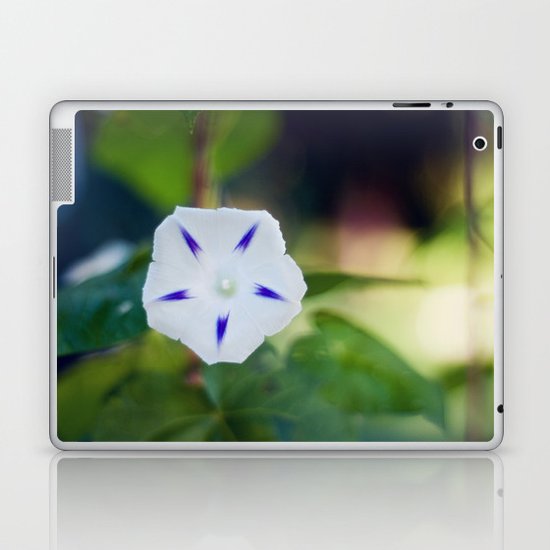 Star Laptop & iPad Skin
