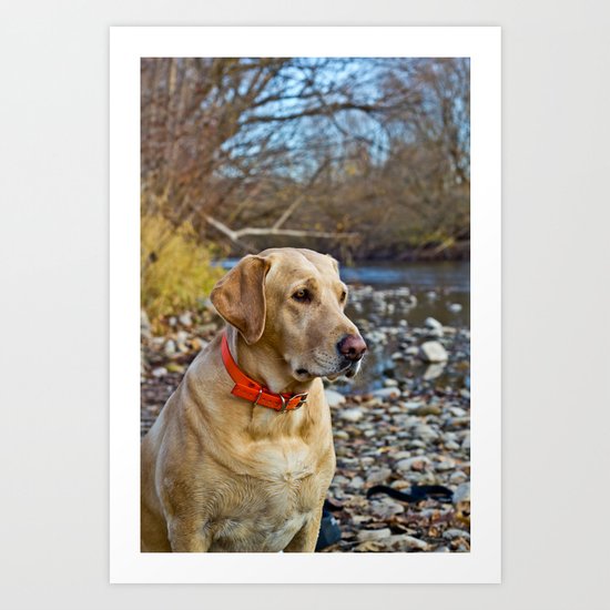 Lab Art Print