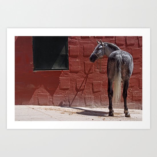 CABALLO ANDALUZ Art Print