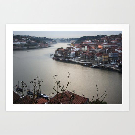 douro Art Print