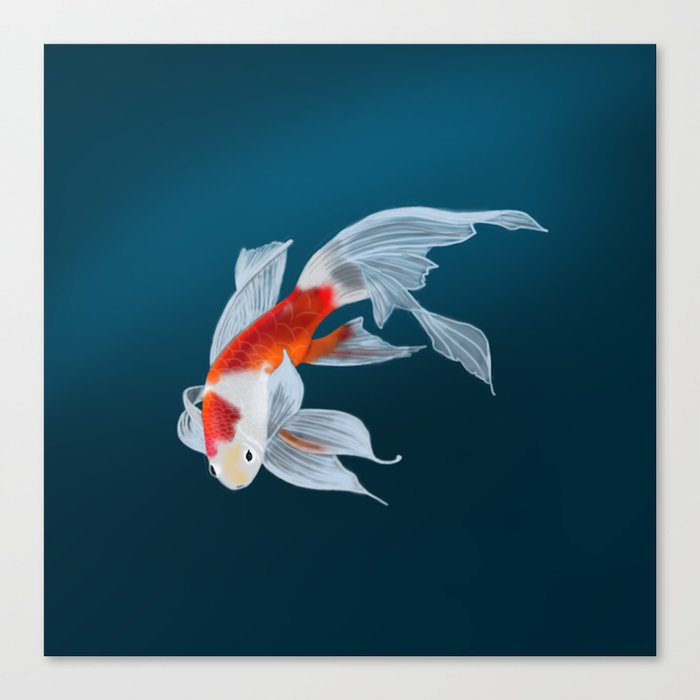 Koi fish Canvas Print