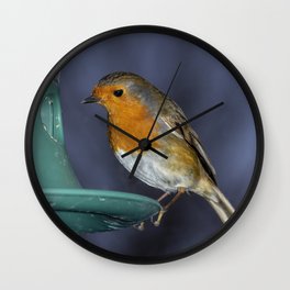 Robin comes for lunch Wall Clock