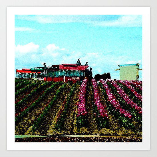 Mule Rides Through The Tulips Art Print