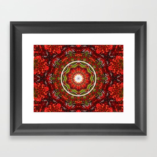 Flamboyant Framed Art Print