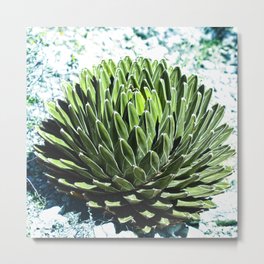 Nature Mandala_1.1 Metal Print | Cactuslovers, Nature, Espiral, Spiral, Other, Cactus, Fibonacci, Color, Mandala, Hdr 