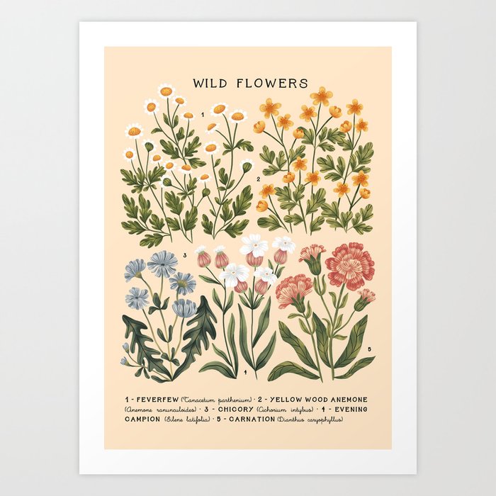 Wild Flowers ~ vol4. ~ light  vintage inspired botanical Art Print