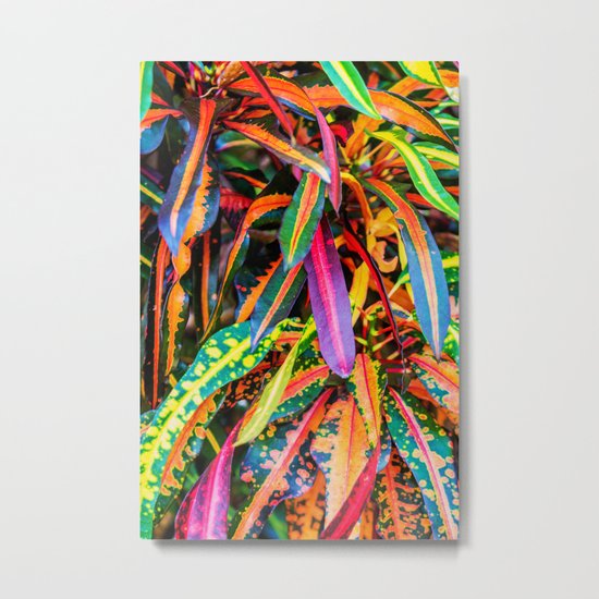 SIMPLY LEAVES Metal Print