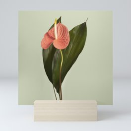 Indoor flower Mini Art Print