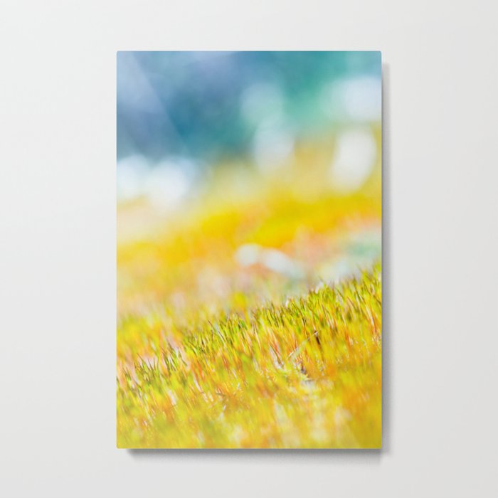 Colorful sprouts Metal Print