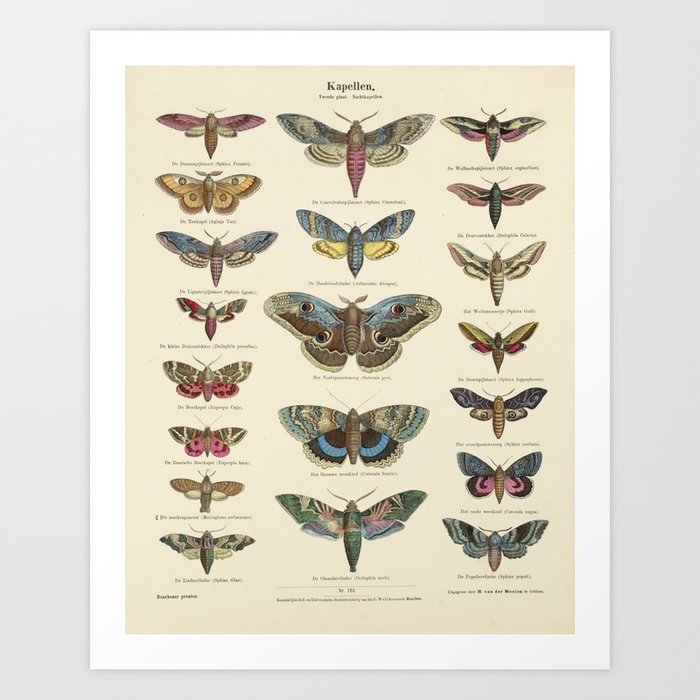 Art Print