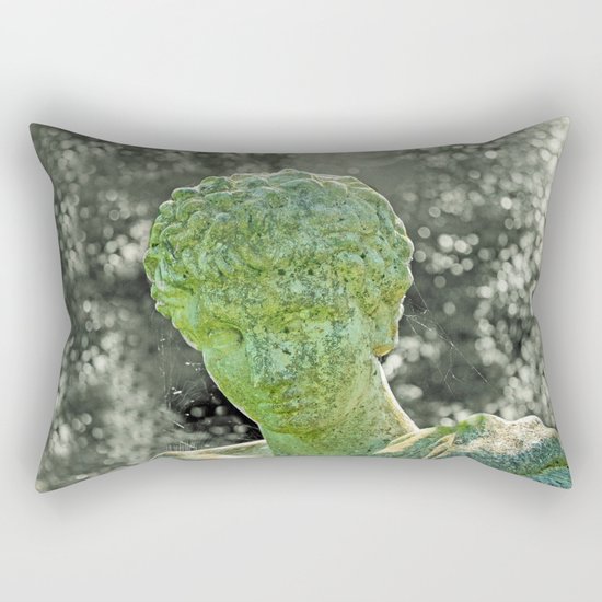 ALTERITY Rectangular Pillow