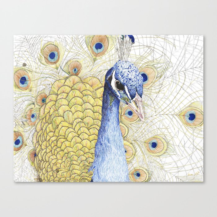 The Peacock Canvas Print