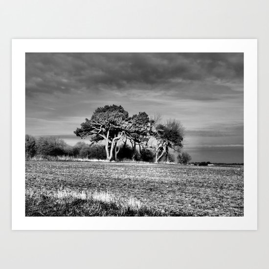 3 Trees Art Print
