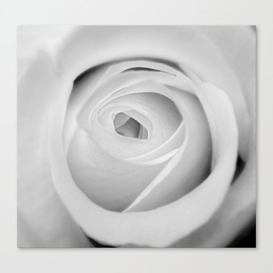BWwhite Rose 2 Canvas Print