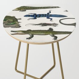 Collection of Various Reptiles Side Table