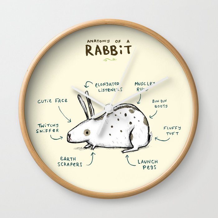 Anatomy of a Rabbit Wall Clock