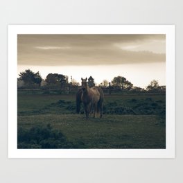 The Horse Before The Storm - Support my small business Art Print