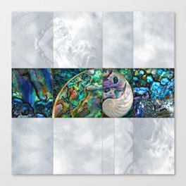 Nautilus Shell - Abalone and Pearl Canvas Print