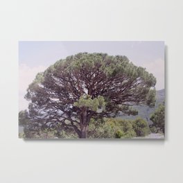 Altintas Aydin Bozdogan Nature Reserve Pistachio Tree Metal Print | Photo, Mountainpass, Landscape, Nature, Color, Hiking, Noone, Deserted, Mountains, Travel 