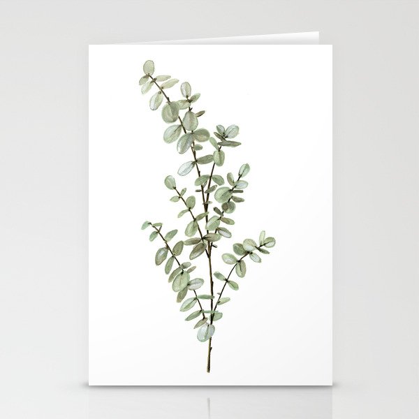 Baby Blue Eucalyptus Watercolor Painting Stationery Cards