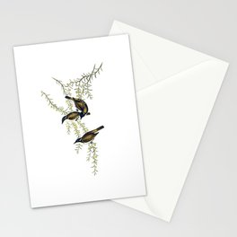 Vintage White Throated Honeyeater Bird Illustration Stationery Card