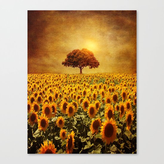 lone tree & sunflowers field (II) Canvas Print