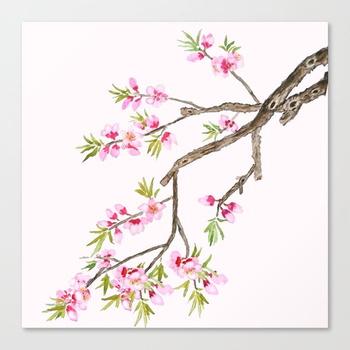 pink peach flowers Canvas Print
