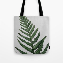 Green Fern - Botanical Forest Sage Vintage Leaf Watercolor Wall Art Farmhouse Rustic Country Nature Tote Bag