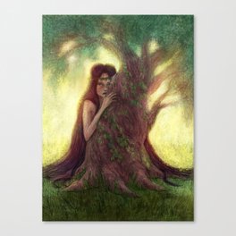 Old Tree Fairy Forest Canvas Print