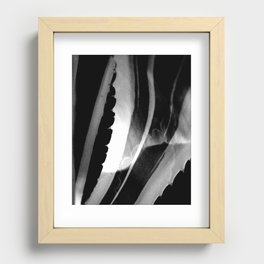 Botanical Studies 3/7 Recessed Framed Print