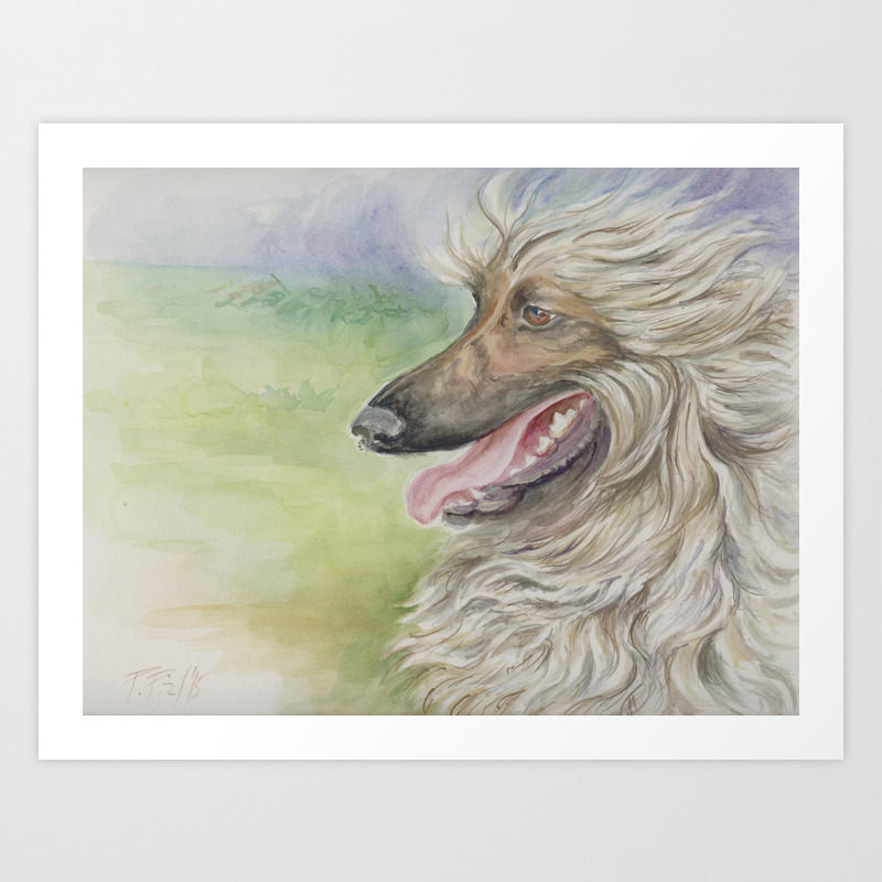 Afghan Hound Greyhound Dog Portrait Watercolor Painting Art Print