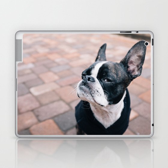 Bruce the Boston Terrier Pug Laptop & iPad Skin