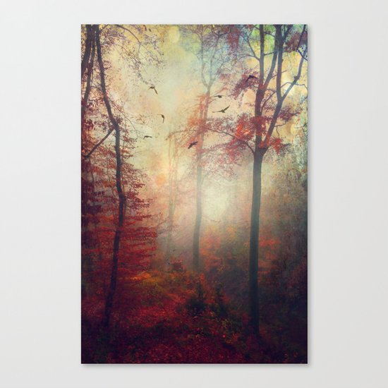 Haze Canvas Print