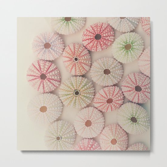 Sea Urchins Metal Print