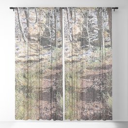Scottish Highlands Spring Nature Path in I Art and Afterglow Sheer Curtain