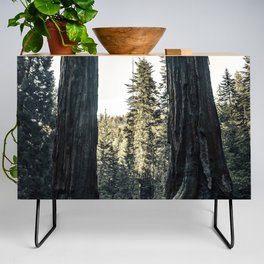 Twin giant redwoods II portrait version / sequoias Pacific Coast California nature color landscape photograph / photography Credenza