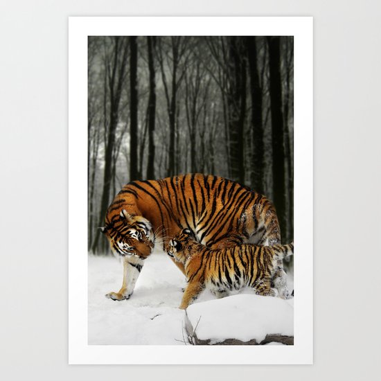 Tigers Art Print