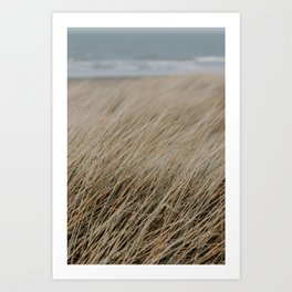 Dunes Ostende, Belgium / travelphotography / Fine Art Print Art Print