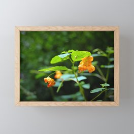 Jewel Weed Framed Mini Art Print