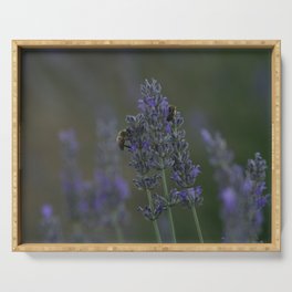 Honey Bees On Lavender Stalks Close Up Photography Serving Tray