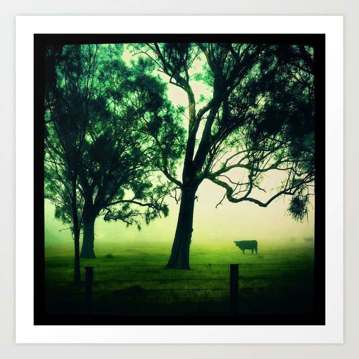 Cow in the Mist Art Print