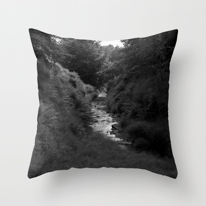 Hidden picture pillow hot sale