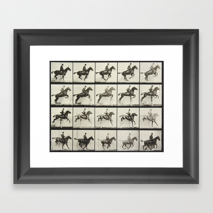 Eadweard Muybridge Vintage Motion Study Jumping Horse Framed Art Print