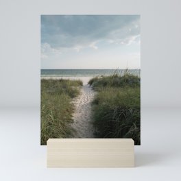 Beachwalk at 30A Mini Art Print