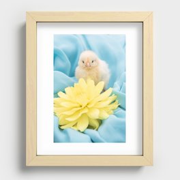 Little Chick Recessed Framed Print