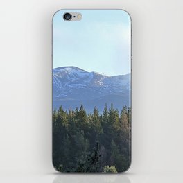 Cairngorms Tree Tops View in Afterglow iPhone Skin