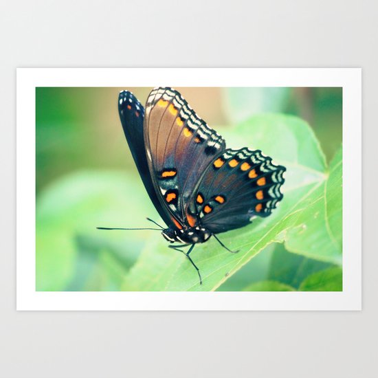 Color by Numbers Art Print