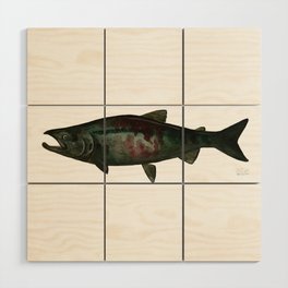 Chum Salmon - Oncorhynchus keta Wood Wall Art